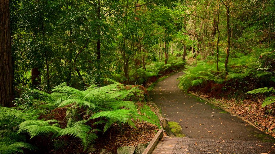 Booderee National Park and Botanic Gardens , Australia